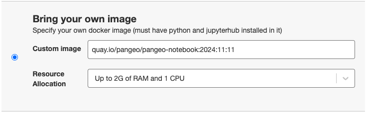 The "Bring your own image" option